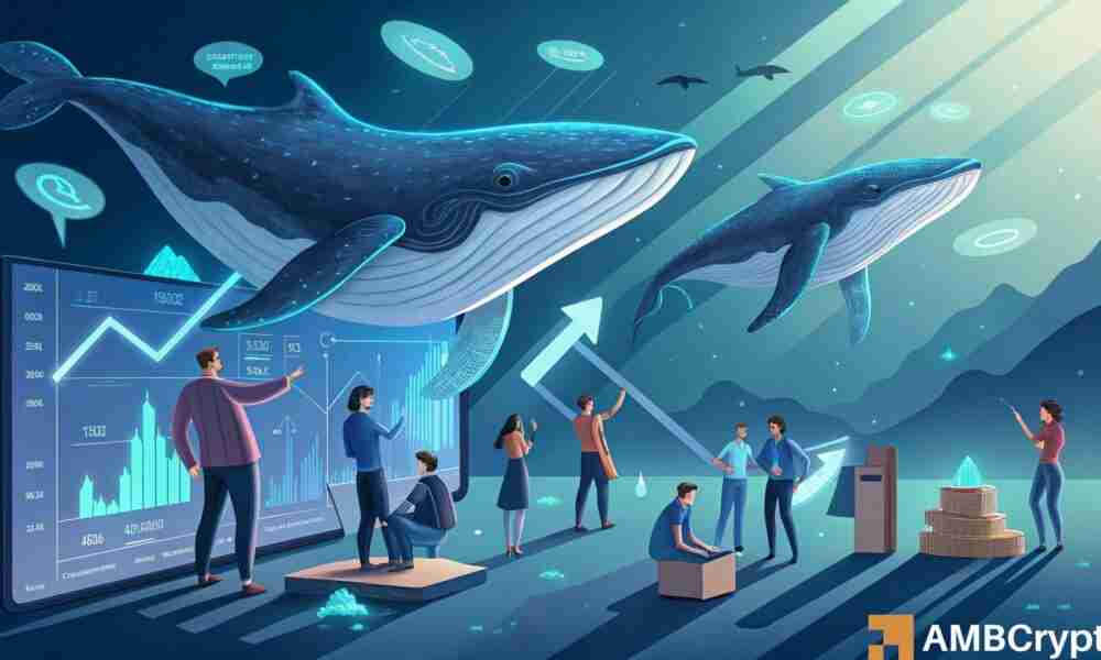 uniswap [uni]鲸鱼在可能的突破之前开始积聚